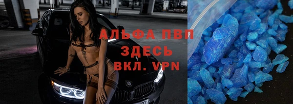 ешки Богданович