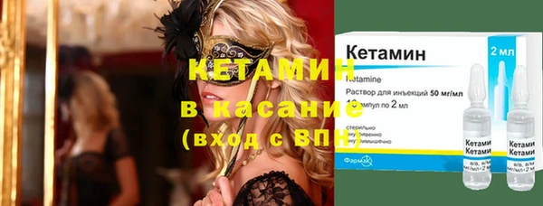 прущие грибы Богородицк