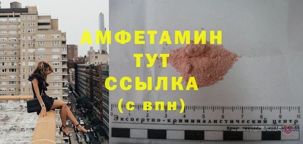 шишки Бронницы